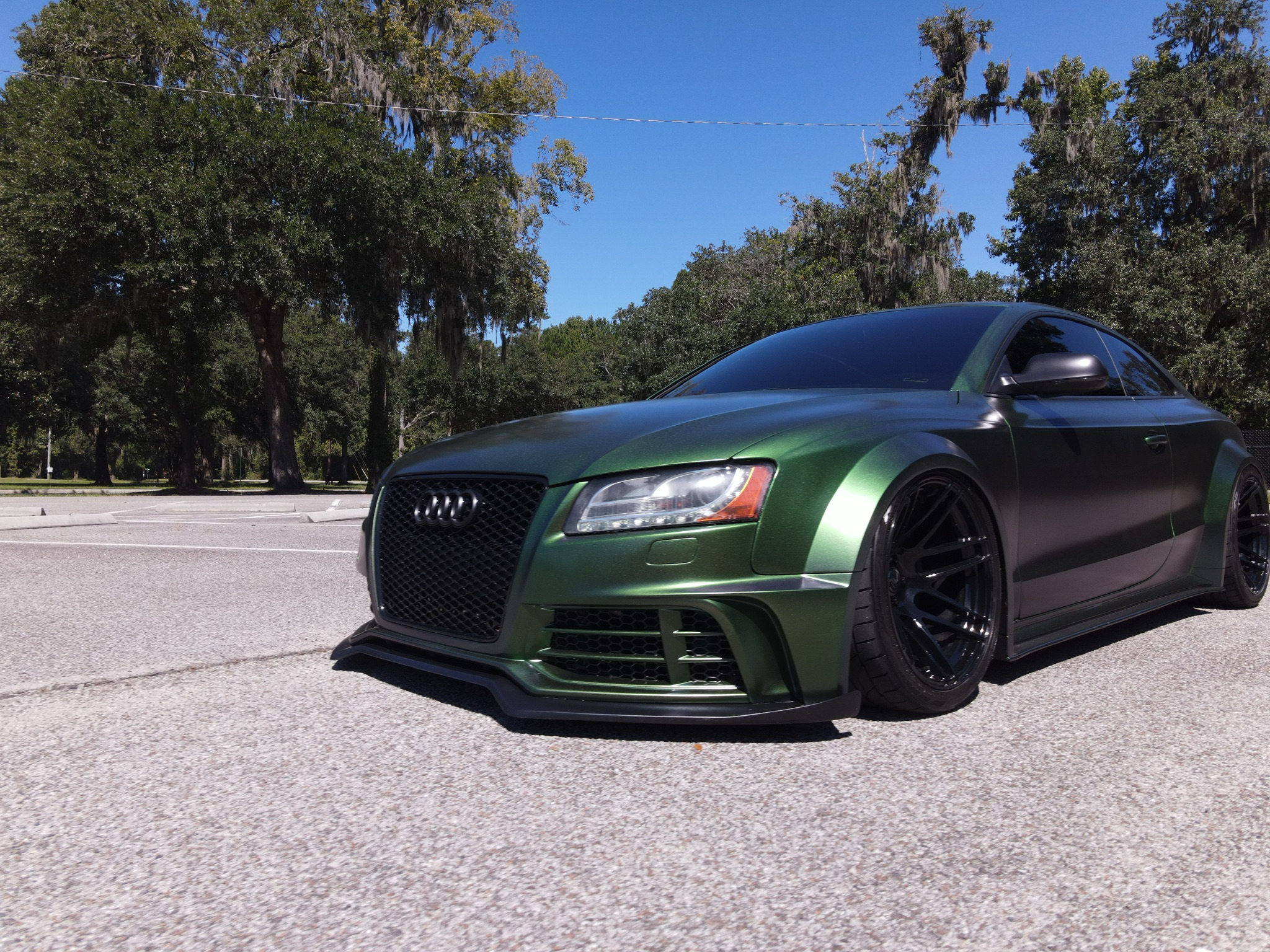 Green Audi coupe beneath live oak trees